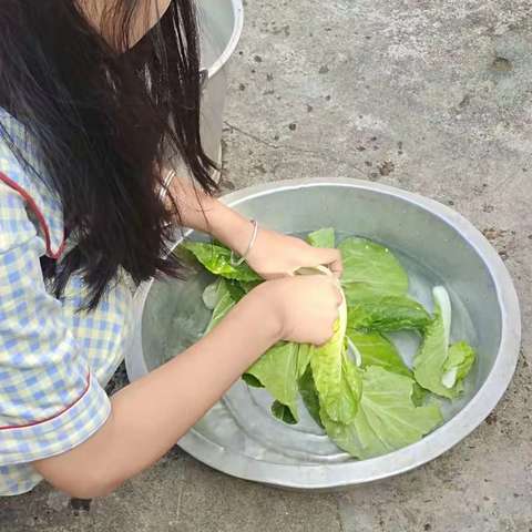 思想品德：为父母做一道菜 学校：华一师大一附中屯昌思源实验中学 班级:高一六班 材料 :白菜 油 鸡精 盐