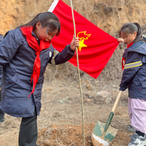 绿意萌动，奔赴春天———二七区长江东路小学教育集团植树节活动