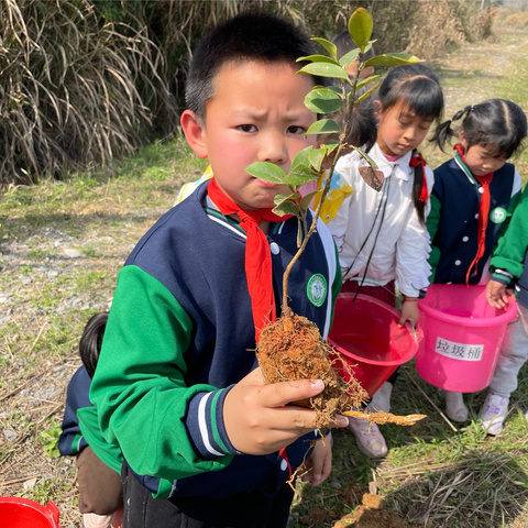 夏畈镇中心小学开展植树节活动