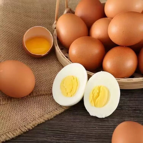 双十一优惠来啦！