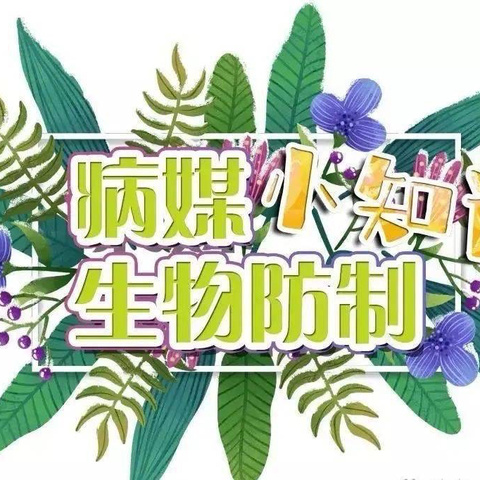 【控制病媒生物  守护幼儿健康】创新幼儿园——防病媒生物知识宣传