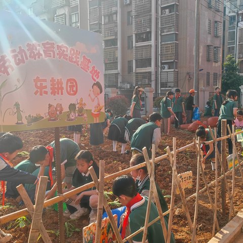 绿树荫浓夏日长 东耕园里欢乐多