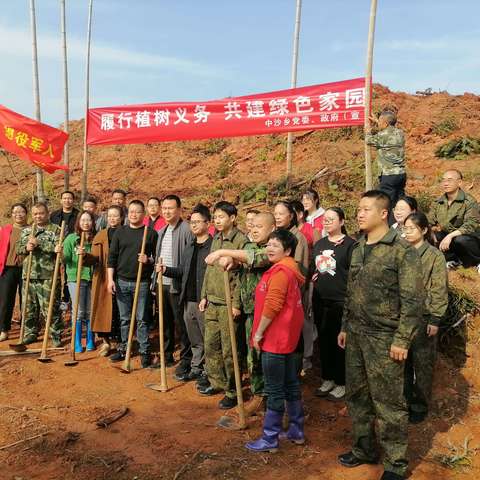 携手添绿，共育希望                       ——中沙乡开展2025义务植树活动