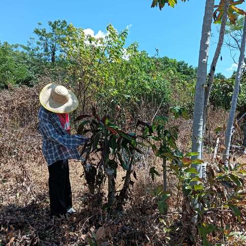 华侨经济区柴头队化解矛盾纠纷