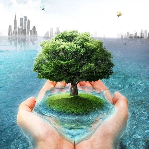 电瓶与生命 作者 习