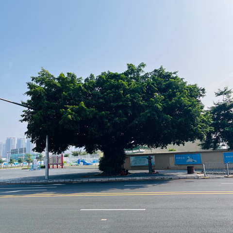 龙岗街道9月份志愿服务简章