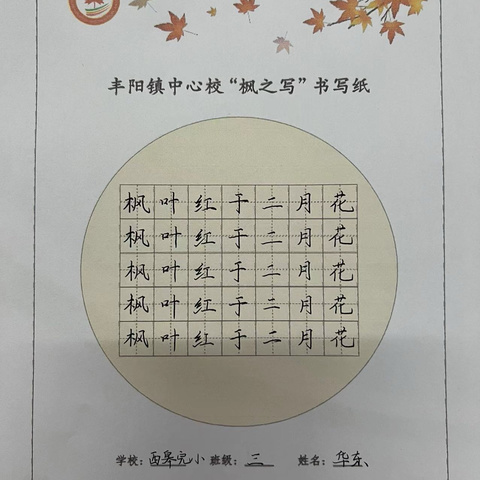 丰阳镇中心校教师练字展示活动第十六期