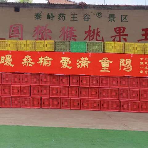 竹峪镇东大墙党支部开展“情暖桑榆  爱满重阳”主题活动