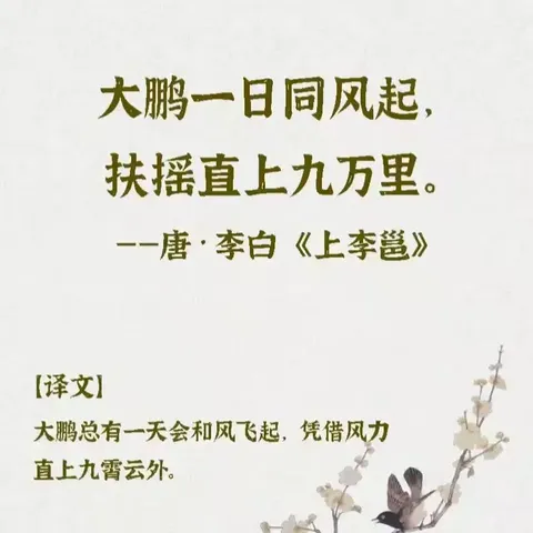 我们闪闪发光的五年级✨✨