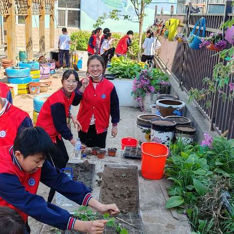 “植”此青绿，共盼收获 ——宽城区宋家小学“开心农场”种植活动报道