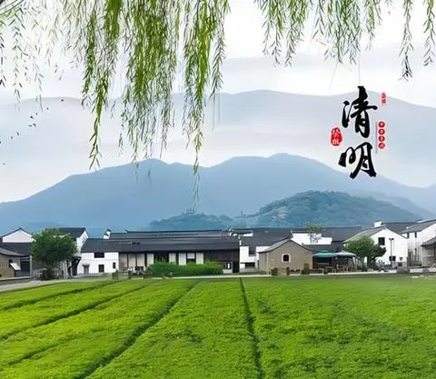 【南坞镇秦岗小学】“清明节  祭英烈”主题活动