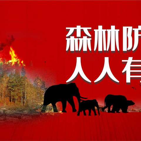 “森林防火，有你有我”——徐市中学森林防火倡议书