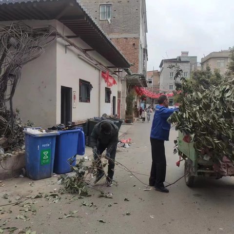 定鼎门街道人居环境整治春季攻坚行动情况