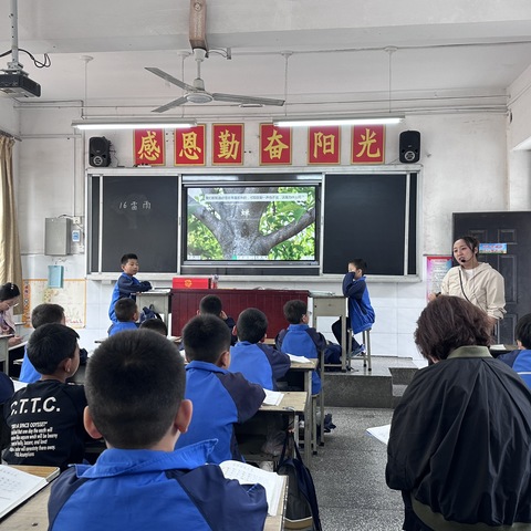 教以潜心，研以致远———龙安二中小学语文低年级组组内公开课