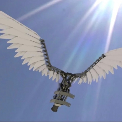 逐梦蓝天，无人机社团的成长之旅