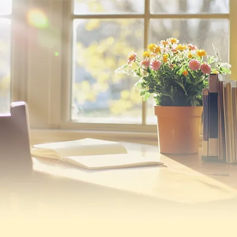 追逐光 成为光 —濮阳县第二实验小学2025年班主任基本功培训活动