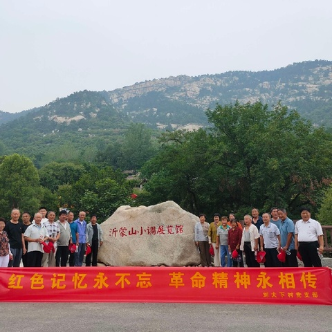 赓续红色血脉，弘扬沂蒙精神——刘大下村党支部开展 “七一”党性学习教育活动