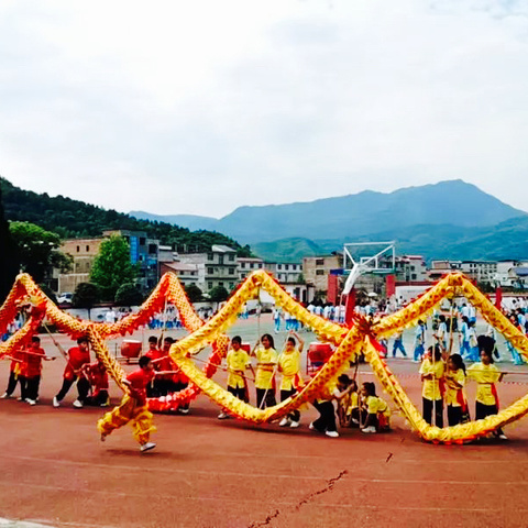 【课题动态08】“童享阳光，活力校园” ——鸡冠小学舞龙队大课间展示活动掠影