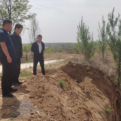 县住建局市容站：多点发力，绘就人居环境新画卷