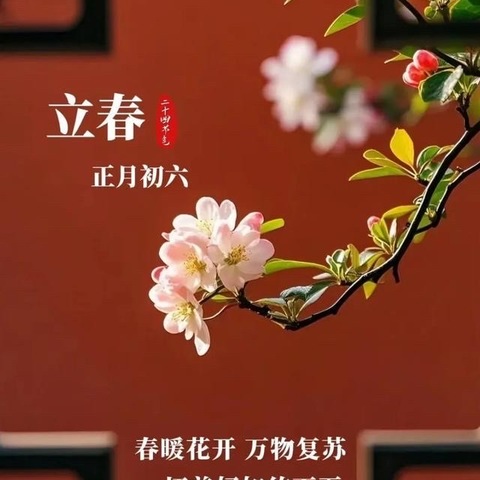 鄄城县临濮完小24节气“立春”综合实践活动