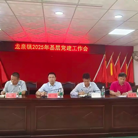 龙泉镇召开2025年基层党建工作会暨党建业务培训会
