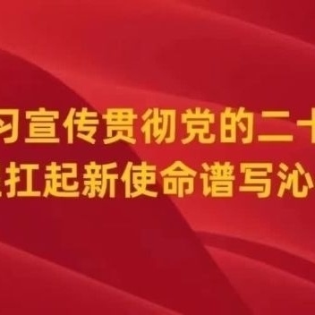 实地调研抓落实    严格督导促提升——沁州黄镇10月24日工作动态