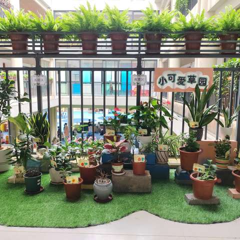 中四班2025年春季学期自然角环境