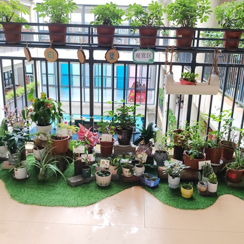 大四班2025年秋季学期自然角环境