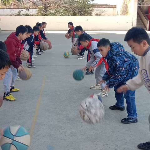 中段篮球社团简讯