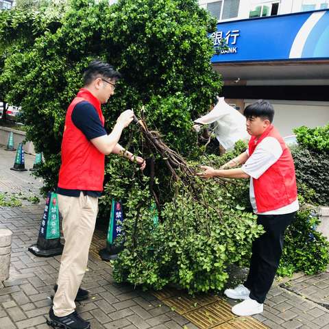 爱国卫生运动—多方协同齐助力 风雨过后创家园