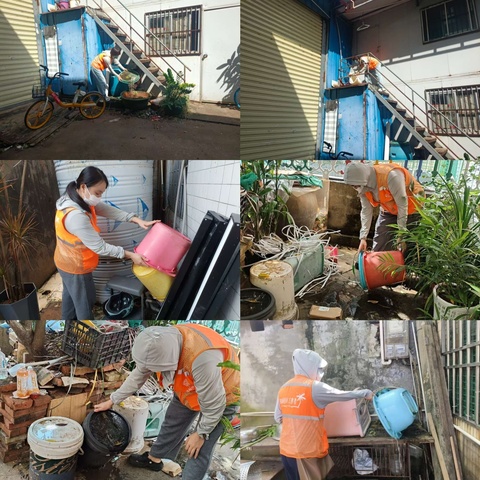 凤翔街道持续开展爱国卫生运动（防蚊灭蚊）及重点蚊媒传染病防控工作（10月9日）