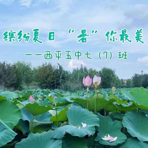 缤纷夏日，“暑”你最美 一一西平五中七（7）班