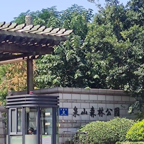 探秘泉山森林公园，共赴自然之约
