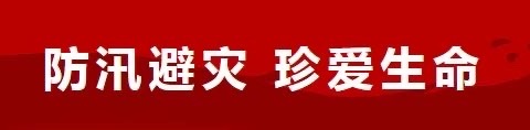 金城街道：“三强化”促“三到位”，筑牢防汛安全“堤坝”