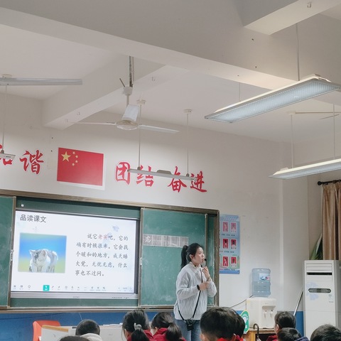 “语”你同行， “研”续成长——东乡区第三中学小学语文组同课异构活动