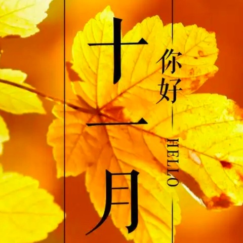 [济南市钢城区志愿者协会]十一月份活动简报