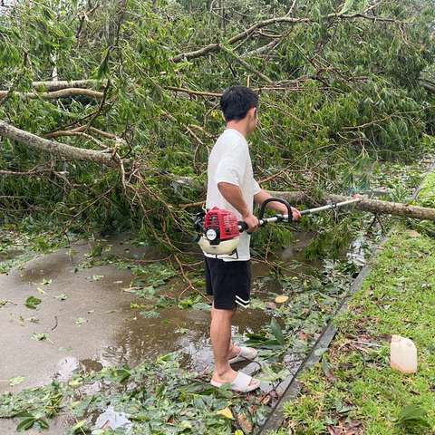 台风过后，南丽湖国家湿地公园全力以“复”