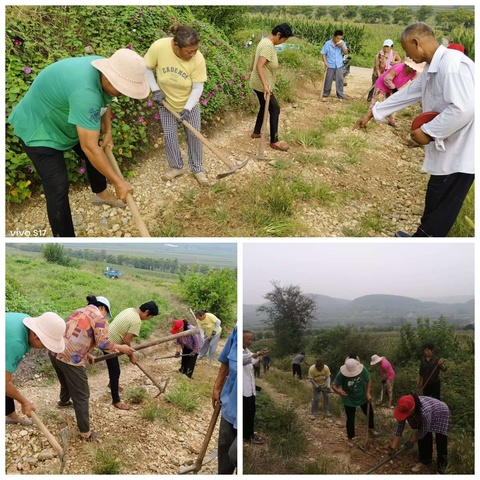 小小网格，大能量。