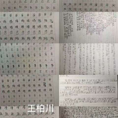 暑假第三次语文晒作业