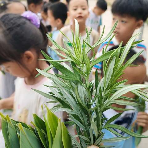 【地球🌐二班】正定县实验幼儿园六月份第一周生活锦集