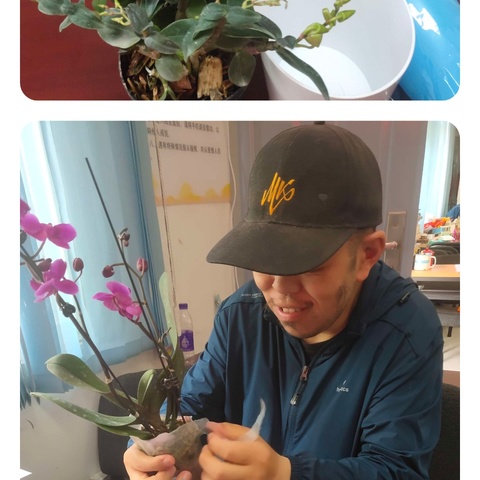 “共朝美好”劲松街道残联农光里温馨家园:种自己的花、爱在美好时光！石斛&蝴蝶兰绿植养护培训活动