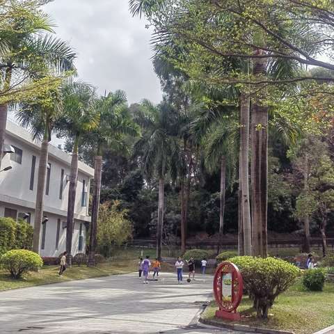 一路向前～未来可期 （记第一次参加深圳市中小学生定向比赛）