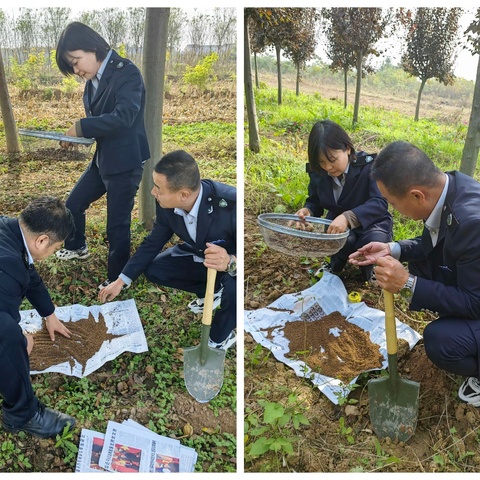 礼泉县扎实开展春季苗木检疫工作 严把苗木质量关