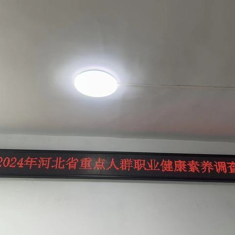 工作动态