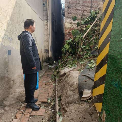 砍伐危树 保障安全——自强社区协助成功砍伐危树