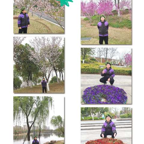 岁聿云暮，静待花开