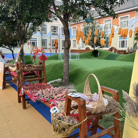 东城幼儿园大班主题三《拥抱秋天》之《温暖的秋天》