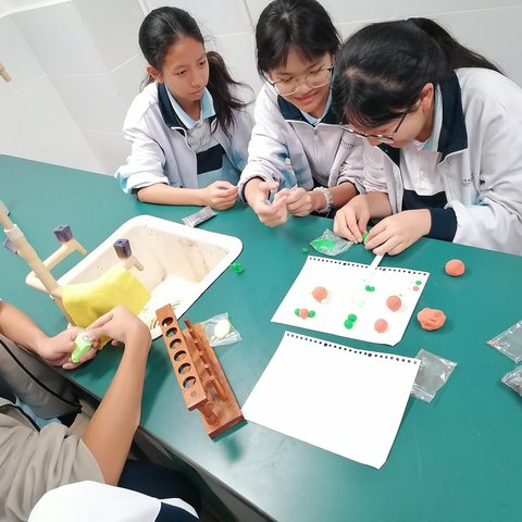 黏土变“微粒”，化学藏乐趣