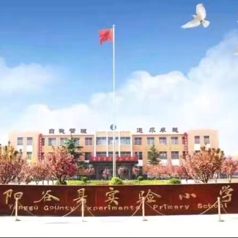 不负“暑”光 未来可期——阳谷县实验小学五年级暑假特色作业小记（第五周）
