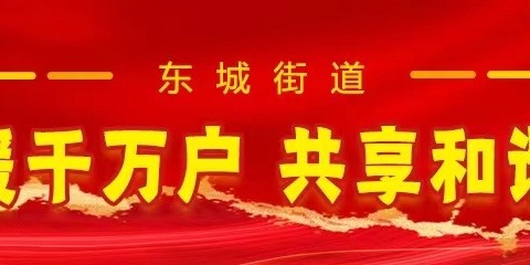 东城街道临潢路社区“自觉维护国家安全 齐心共建美好家园”4.15国家安全教育日宣传活动